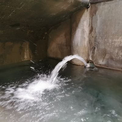 rikiojisan's profile picture. 