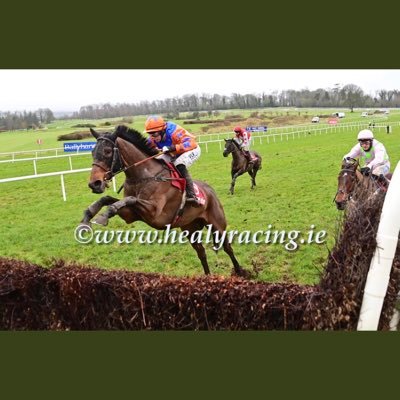 Dual purpose horse trainer based in Carlow 🐎🇮🇪