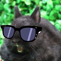 WX's Rabbit1806 (@tapple1806) 's Twitter Profile
