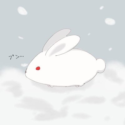 瑠璃雪兎さんのプロフィール画像