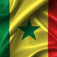 Emploi Dakar (@emploidakar) 's Twitter Profile Photo Emploi Dakar (@emploidakar) 's Twitter Profile Photo