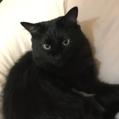 kain0suke's profile picture. 