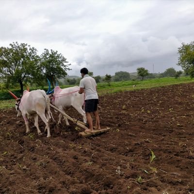 _SurajGhadage's profile picture. 