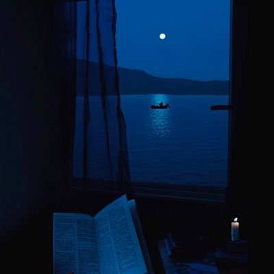 sh_16x's profile picture. 