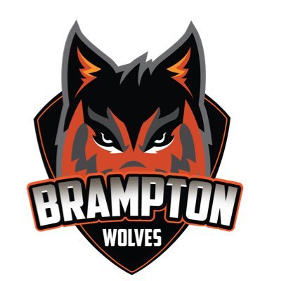 The Official Account of Brampton Wolves | Global T20 Canada