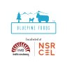 BluepineFoods's profile picture. Incubated @nsrcel Opener @Sharktankindia Convenient,Authentic Himalayan Cuisine Promoting Agro Produce,Reducing Decay & Wastage #MomoMami