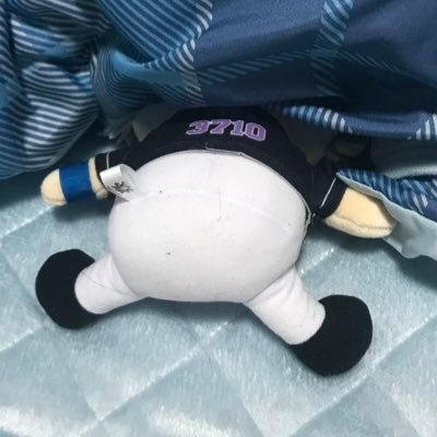 くくりさんのプロフィール画像