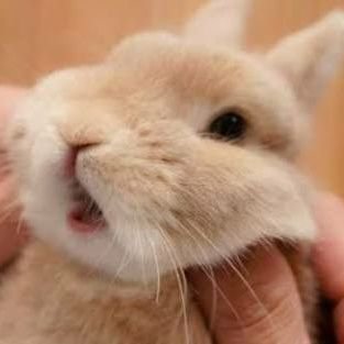 はるちさんのプロフィール画像