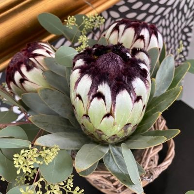 Cath779's profile picture. 