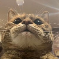 キナ (@0413111___) Twitter profile photo