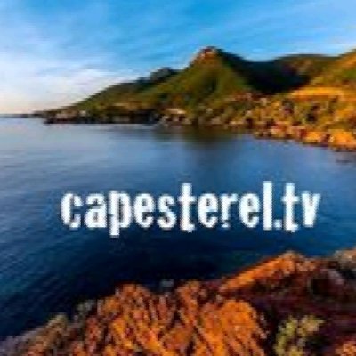 capesterel Profile Picture