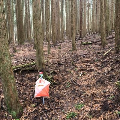orien2021's profile picture. オリエンテーリングは、森や公園などに設置されたポイントを地図とコンパスを使って順番にまわり、そのタイムを競うスポーツです！  慶應義塾大学公認学生団体オリエンテーリング同好会公式アカウント→@kolc_orien2021 2022年度新歓アカウント→@orien2022