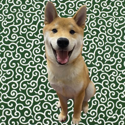 柴犬 だいふく 相変わらずトイレの上でケージに顎を乗せて寝るだいふくくん 柴犬 犬のいる暮らし 子犬 犬好きさんと繋がりたい 柴犬を崇めよ だいふく記録 柴犬 だいふく 相変わらずトイレの上でケージに顎を乗せて寝るだいふくくん 柴犬 犬のいる暮らし 子犬 犬好きさんと繋がりたい 柴犬を崇めよ だいふく記録