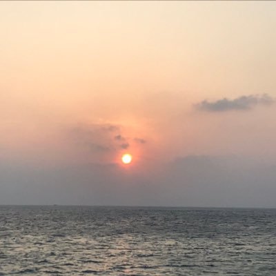 rurubunashi_oji's profile picture. 論文作成中 TRPGどハマりちゅう 調査ちゅう 興味あること→trpg ゲーム 配信観戦 牛丼 ダンス バイオリン モノづくり ゲーム作り ボランティア 仙台 牛タン 熊本 石巻 鹿児島 種子島 旅行 宇宙 地域貢献 ウマ娘 テトリス ぷよぷよ ラーメン 肉