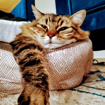 Thierry_Jean's profile picture. 