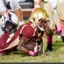 Keisean Inman (@keiseani) Twitter profile photo Keisean Inman (@keiseani) Twitter profile photo