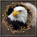 Shirley Hanson - @Shirley33856480 - Twitter