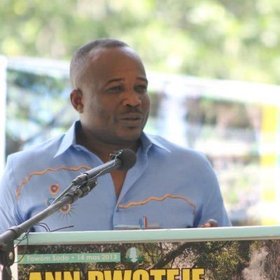 Ex Ministre de la Planification et de la Coopération externe - de l’Environnement - Ex Pdt de l’Assemblée nationale - Avocat au Barreau de port-au-Prince 🇭🇹