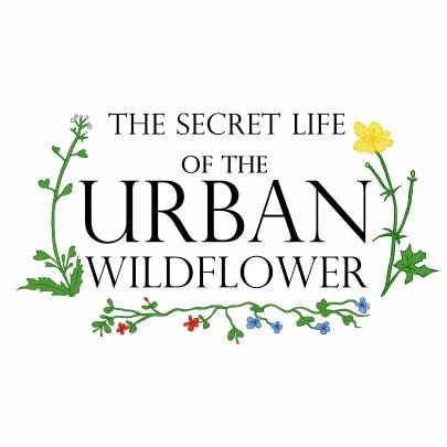 Explore the world of botany with easy wildflower identification in the urban environment. Join me, a novice botanist, on my journey of discovery