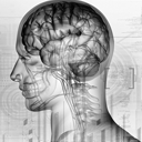 FelixRends's profile picture. #ColdFusion #LENR #LatticeConfinementFusion
German Moderator of https://t.co/nWpJVXytK1 #FollowTheScience