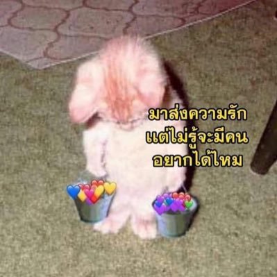 พื้นที่ส่วนตัวเล็กๆเอาไว้พักใจ