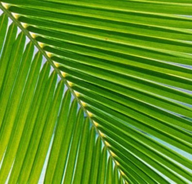 dienvidpols's profile picture. 