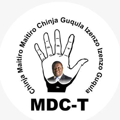 Our MDC-T South Africa Province
