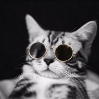 Cin π©πͺπ§‘π§π· (@cindamonte) 's Twitter Profile