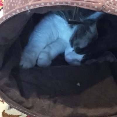 AliciaMulter's profile picture. 