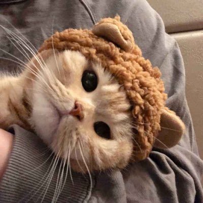 chellyさんのプロフィール画像