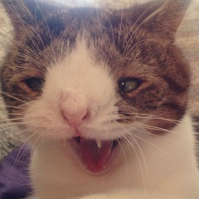 Rython9's profile picture. 😈😈😈