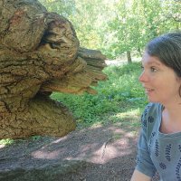 Linden Groves (@linden_groves) 's Twitter Profile