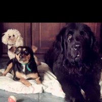 Debbuc (@debbuc2) 's Twitter Profile