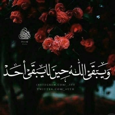 0BhgAGMJi3ErHiH's profile picture. عُمانيــة وافتخــر 🇴🇲 (تربويـــة)