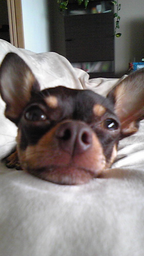 060606170714's profile picture. 