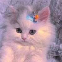 „میّ🙂 (@onllllymai) 's Twitter Profile