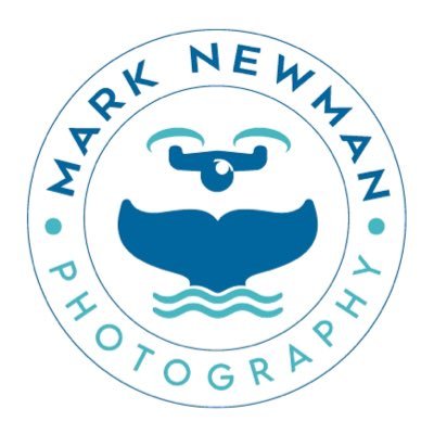 Mark Newman Photography