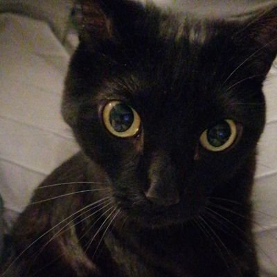 Elemarosa's profile picture. Aquí y ahora.