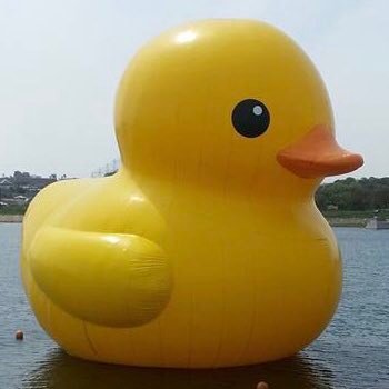 noboder1968's profile picture. 