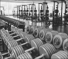 vtrainerIA's profile picture. Creating workouts for individuals at all levels of health via the internet and email. Ask about our free trial period.  Based out of Des Moines, IA.