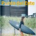 Punta del Este Magazine (@puntamagazine) Twitter profile photo Punta del Este Magazine (@puntamagazine) Twitter profile photo