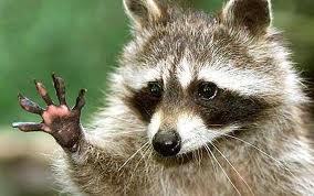 BartonHSargent's profile picture. An anagram, wrapped in a mystery, inside an enigma, behind a riddle, near a puzzle, not far from a quiz. The clues are there...