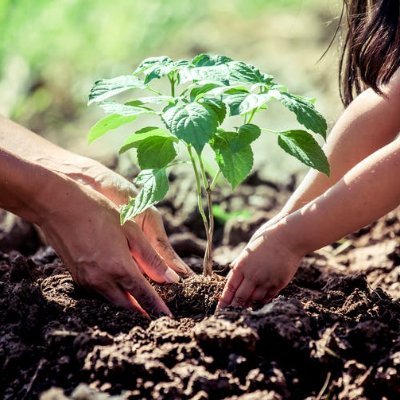 Trees around the world are constantly being cut down, my mission is to be involved  in stopping this horrendous action.
Email: savethetrees@usa.com  
she/they