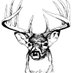 Buck (@bucknsf) Twitter profile photo Buck (@bucknsf) Twitter profile photo