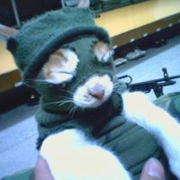hailnothing Ⓐ (@hailnothing1) 's Twitter Profile
