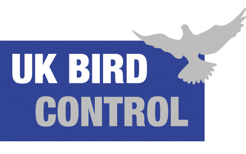 UKBirdControl's profile picture. Bird control company based in London and the south east. Customers include the Savoy Hotel & Imperial College and we specialise in feral gull control.
