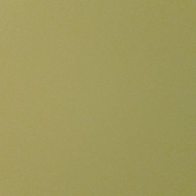 jinyunpi's profile picture. 