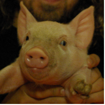 johnisag's profile picture. 