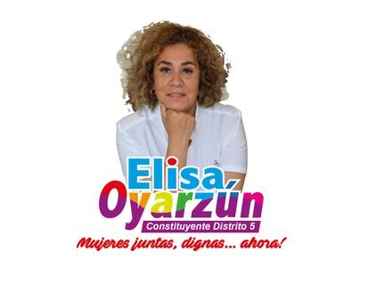 ElisaOyarzun_cl's profile picture. Elisa Oyarzún candidata Constituyente por las mujeres, trabadoras y trabajadores de la Región de Coquimbo