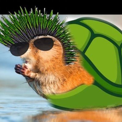 PfeifferDan's profile picture. influencer of naught